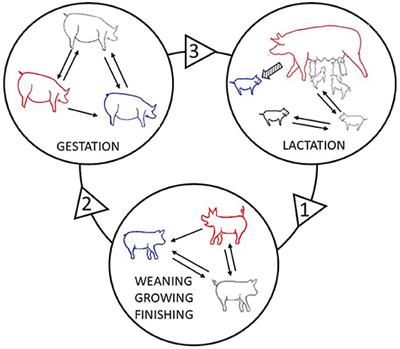 Prospects for the Analysis and Reduction of Damaging Behaviour in Group-Housed Livestock, With Application to Pig Breeding